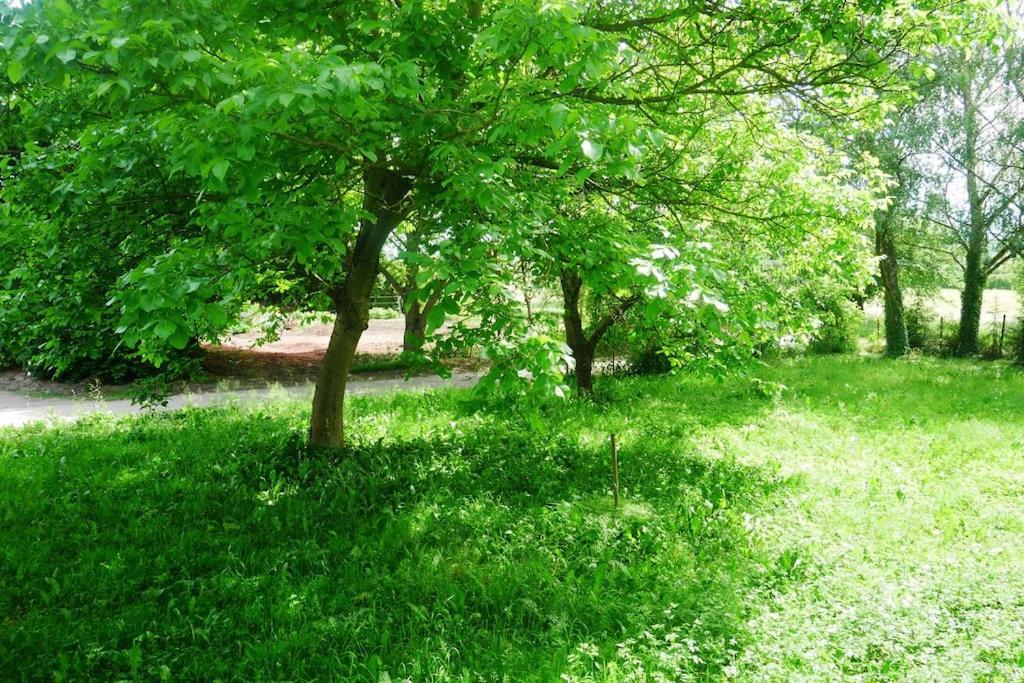 Ferienwohnung Im Gruenen Gottenheim Exterior foto