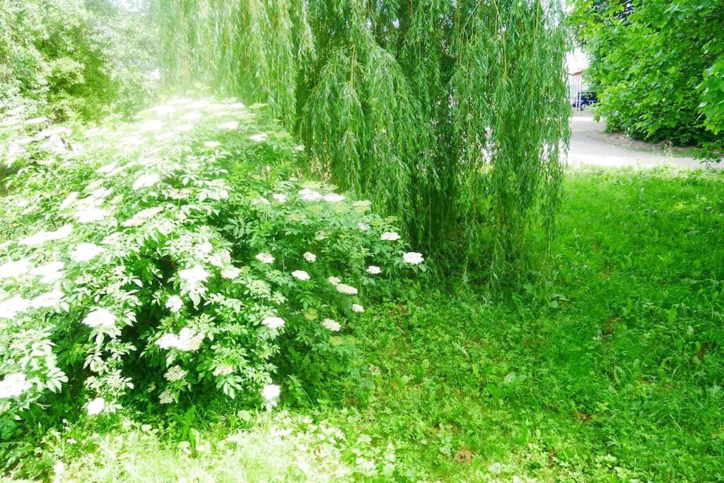 Ferienwohnung Im Gruenen Gottenheim Exterior foto